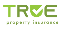 True Insurance Logo
